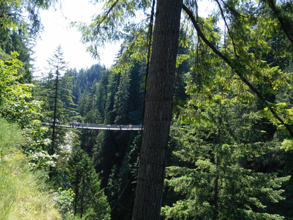 Capilano Suspension Bridge