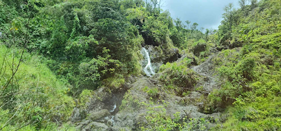Road to Hana
